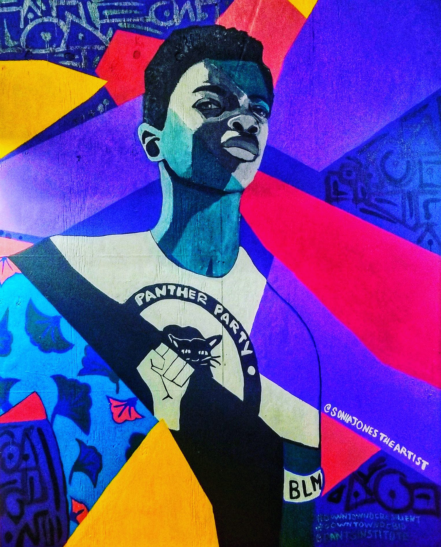 9-Panther-Party-Sonia-Jones